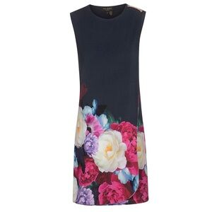 (Ted Baker Dress)